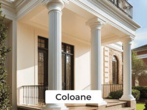 Сoloane (3)